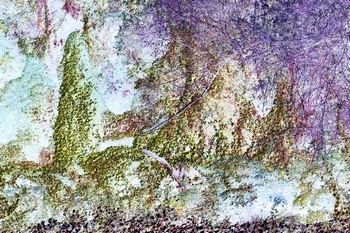 N 068B